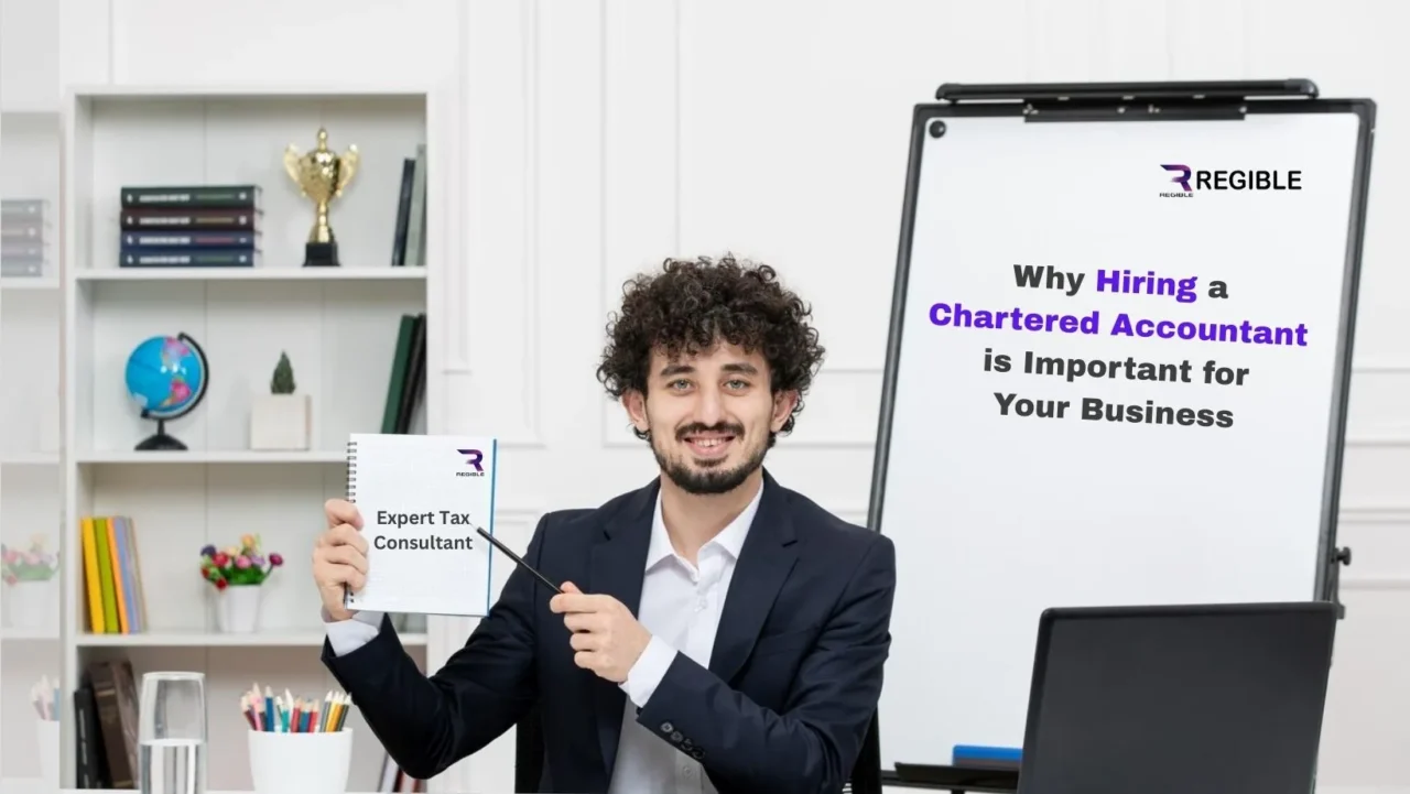 Expert Tax Consultant