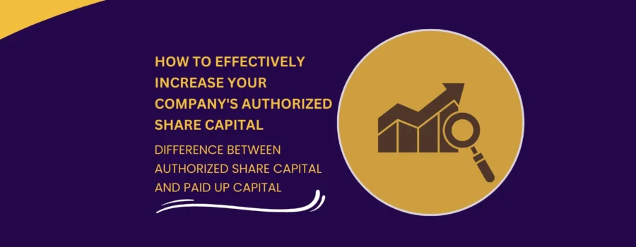 How to Effectively Increase Your Company's Authorized Share Capital
